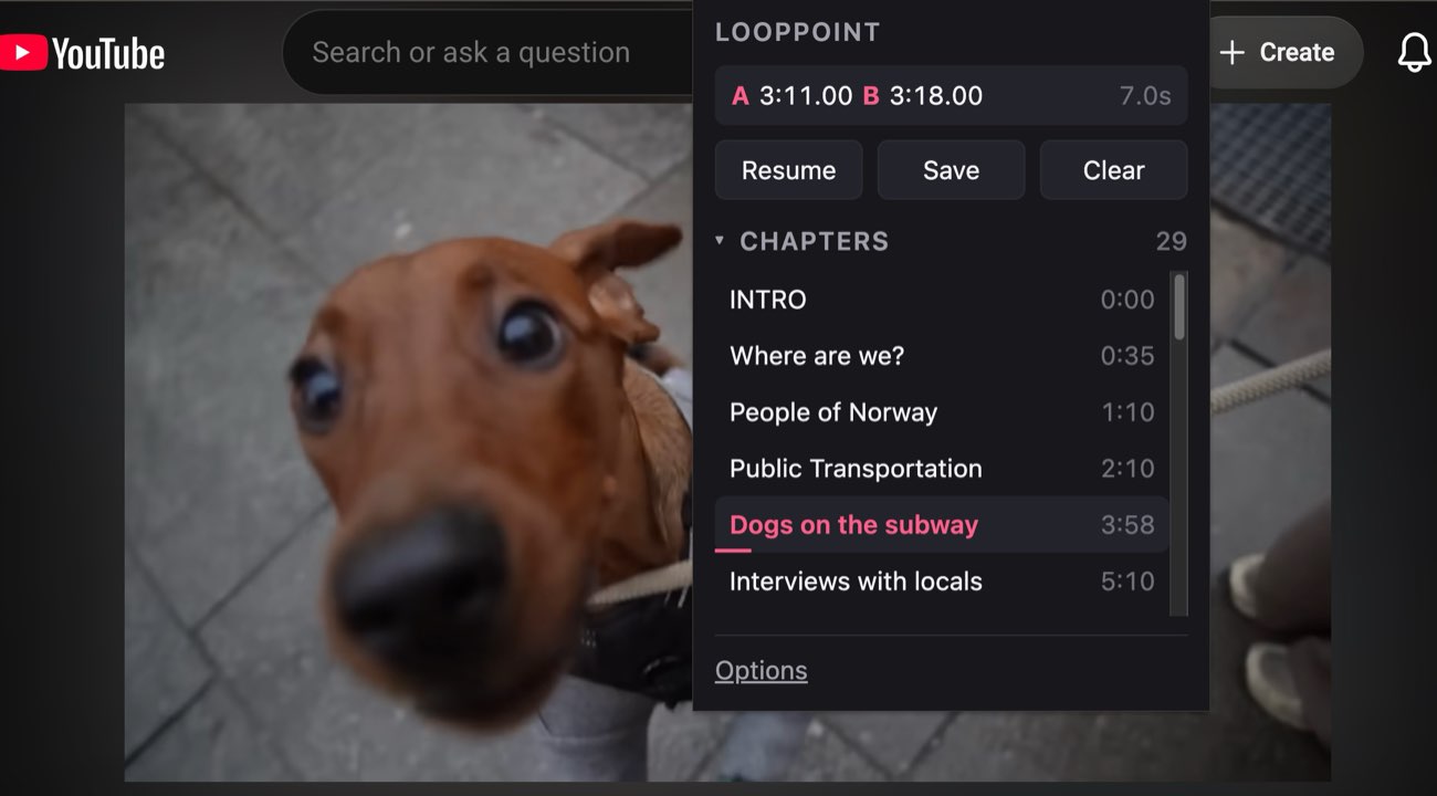 The LoopPoint popup open over a video: the current seven-second loop, and the video's 29 chapters with the one now playing highlighted.